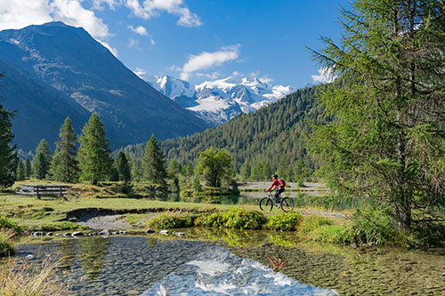 Alpine panurama with single biker