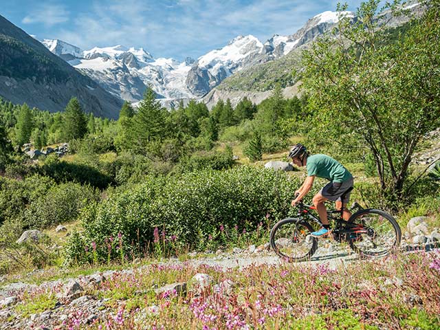 Mann auf dem Mountainbike auf dem Flow Trail